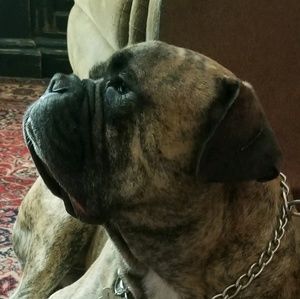 Meet your Posher, Trent